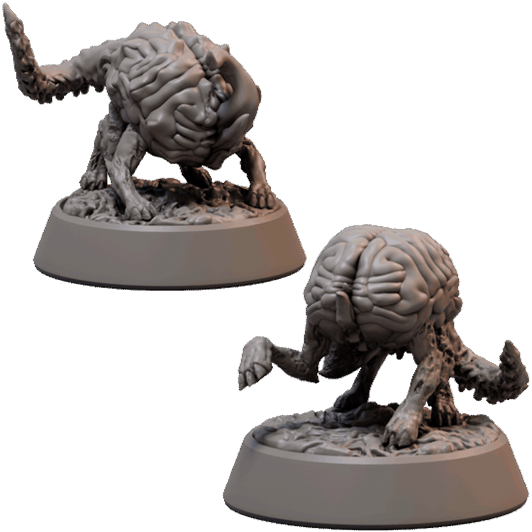 Brainy Dogs