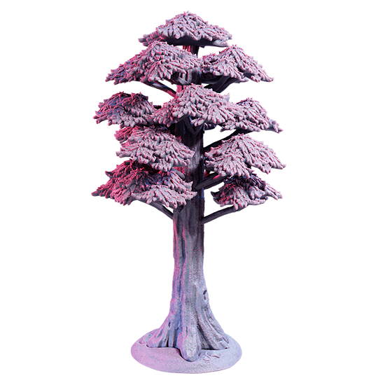 Young Sequoia